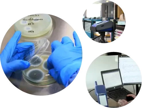 iaq-service iaq services